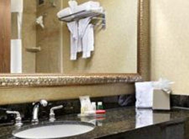 Ramada Plaza Hotel Колумбус Номер фото